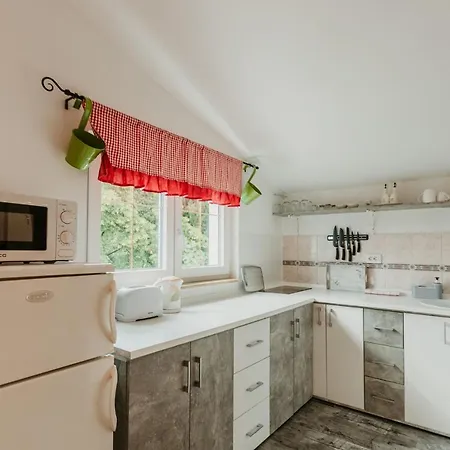 Apartment Borik