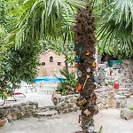 Apartman Borik *