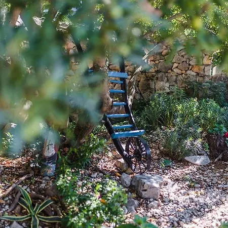 Borik * קריקווניצה