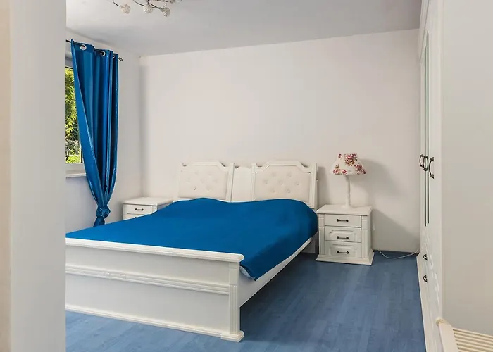 Borik * 크리크베니카