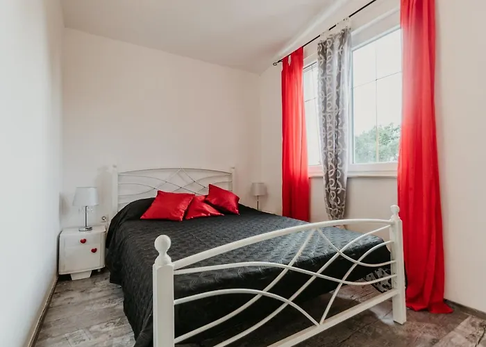 Borik 크리크베니카